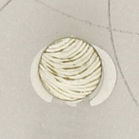 Хольнитен металл Z50813