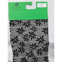 NF 3968 CIPRO